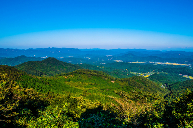 10월 추천 국유림 명품숲으로 선정된 문수산 편백나무 숲. 사진제공=산림청