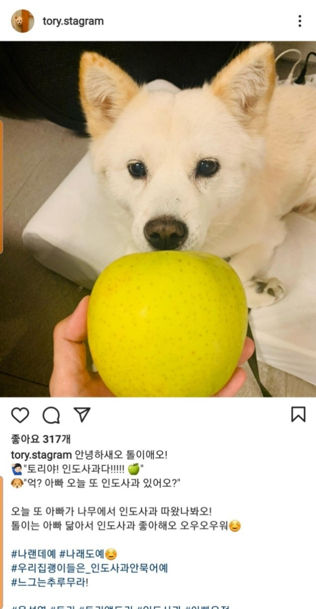 尹, 전두환 사과한 날…개에게 사과주는 사진 올렸다 삭제