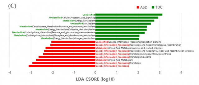 ASD 환자와 정상발달대조군(TDC)의 장내 미생물 기능 분석 그림/사진 제공=세브란스병원