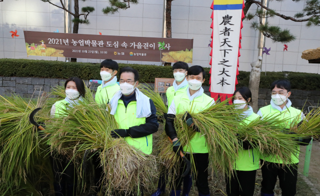 이성희 농협중앙회장(왼쪽 세 번째)과 올해 입사한 직원이 25일 서울시 중구 농업박물관 앞 논에서 벼를 베고 있다. 농협은 농업박물관 야외체험농장에서 5월 손 모내기를 시작으로 허수아비 세우기 등 전통 농경문화를 체험하는 다양한 기회를 제공하고 있다./연합뉴스