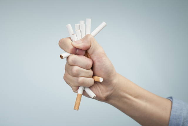 정부 '합성니코틴, 연초 줄기·뿌리도 담배 포함해야'