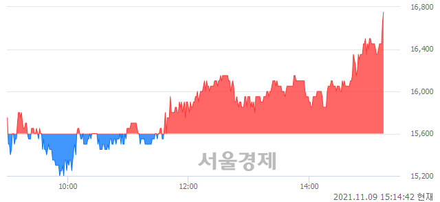 <코>피코그램, 전일 대비 7.69% 상승.. 일일회전율은 8.13% 기록