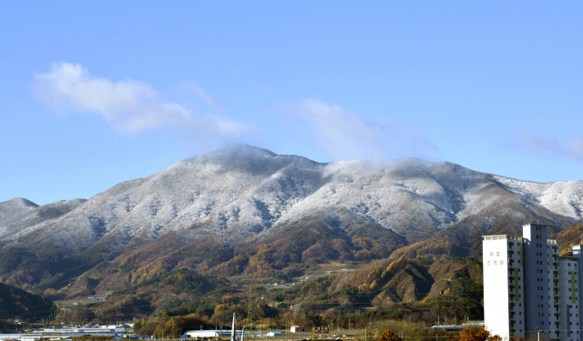 지난 12일 전북 장수군 팔공산 정상 부근에 전날 내린 눈이 쌓여 중턱의 단풍과 대비를 이루고 있다. /사진 제공=장수군