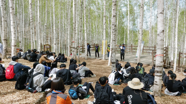 강원도 인제 자작나무숲에서 숲해설 프로그램이 열리고 있다. 사진제공=한국등산·트레킹지원센터