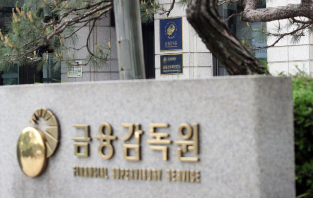 금감원, 기업·회계법인 대상 비대면 K-IFRS 설명회 개최