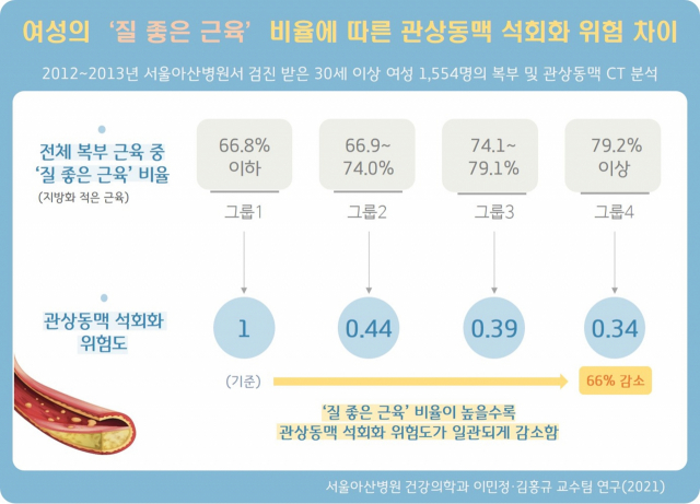 여성의 '질 좋은 근육' 비율에 따른 관상동맥 석회화 위험 차이/사진제공=서울아산병원