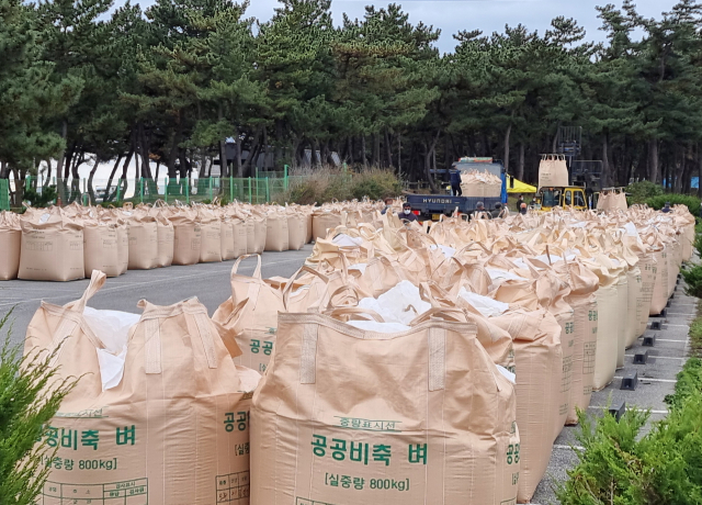 9일 강원 강릉시 연곡해변 주차장에 지역 농민들이 가져온 공공비축 벼가 가득 놓여 있다. /연합뉴스
