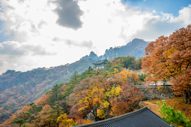 도봉산 망월사 주변도 울긋불긋 단풍으로 물들었다.