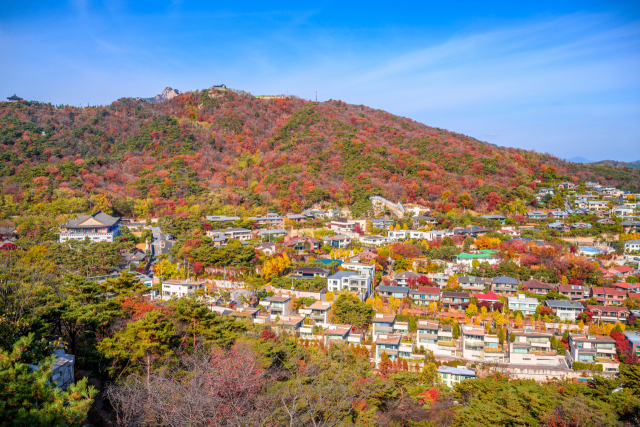 북악산 정상에서 바라본 서울 도심 풍경.