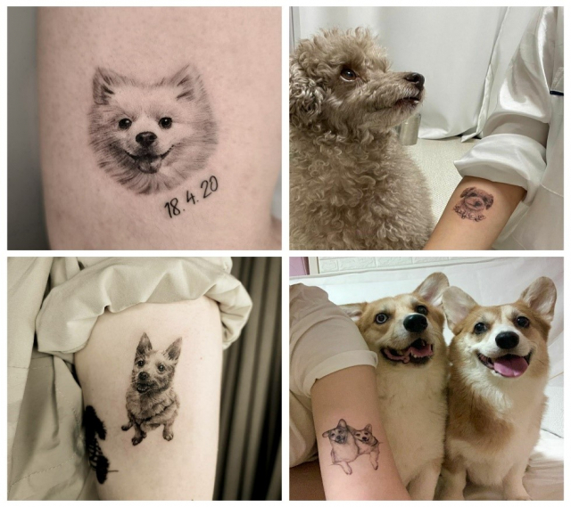 ‘반려동물 타투’의 작업 사진들이다. /@ophelie_tattoo 인스타그램 캡처(좌측)와 @cheontattoo 인스타그램 캡처