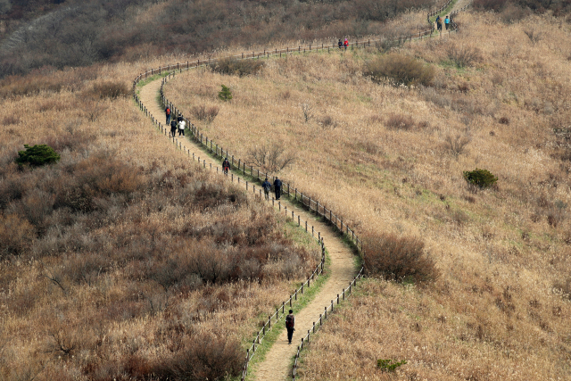 지난 14일 광주 무등산에 오른 시민들이 억새 주변을 걸으며 늦가을 정취를 즐기고 있다. /연합뉴스