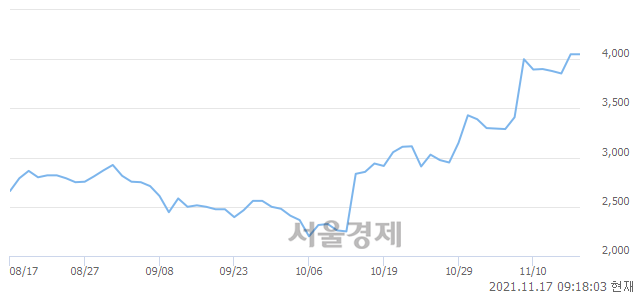 <코>블루베리 NFT, 매도잔량 368% 급증