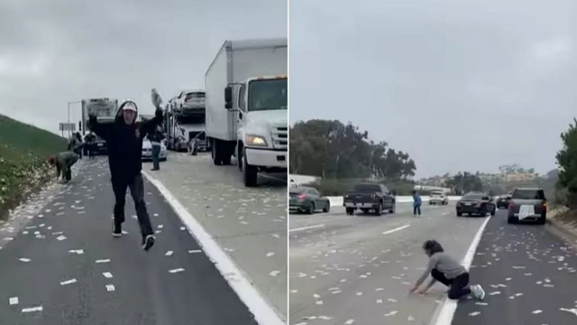 [영상] '돈벼락 맞았다'…美고속도로, 현금수송차 사고에 아수라장