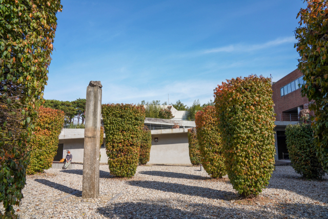선유도공원의 인기 포토존인 ‘녹색 기둥의 정원’은 폐정수장 정수지의 콘크리트 상판 지붕을 들어내고 남은 기둥을 중심으로 조성된 공간이다.