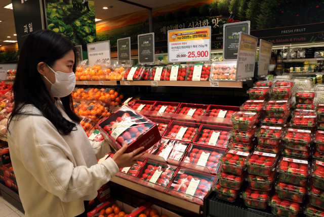 서울 성동구 이마트 성수점의 딸기 매장에서 고객이 딸기 상품을 살펴보고 있다./사진 제공=이마트