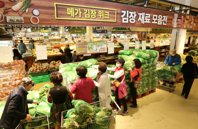 메가마트 부산 동래점에서 고객들이 김장철을 맞아 해남 배추를 살펴보고 있다./연합뉴스