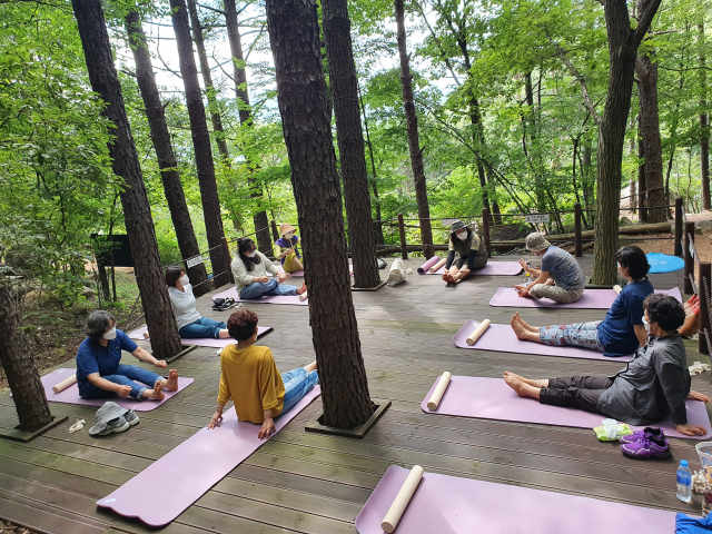 관광객들이 가야산에서 숲놀이 체험인 숲크닉을 즐기고 있다.