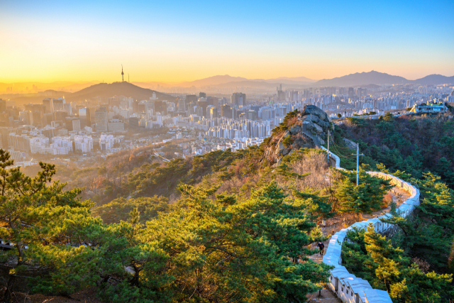 '멀리 가지 마세요~' 호랑이 기운 솟아나는 서울 해돋이 명소는 어디?