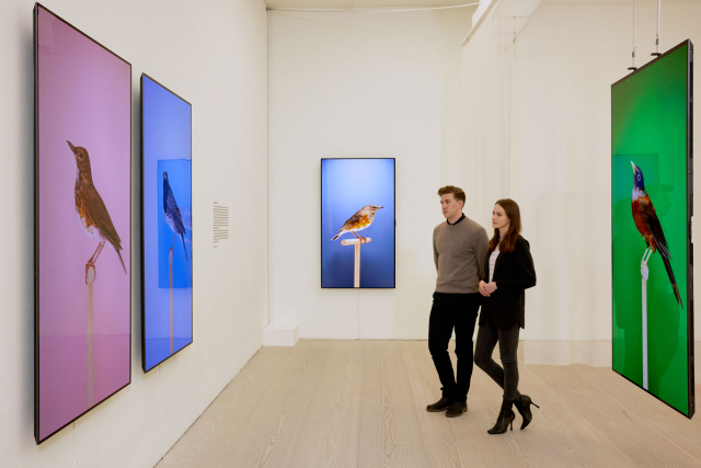 현대미술 만난 LG 올레드 TV…영국 런던서 미디어아트