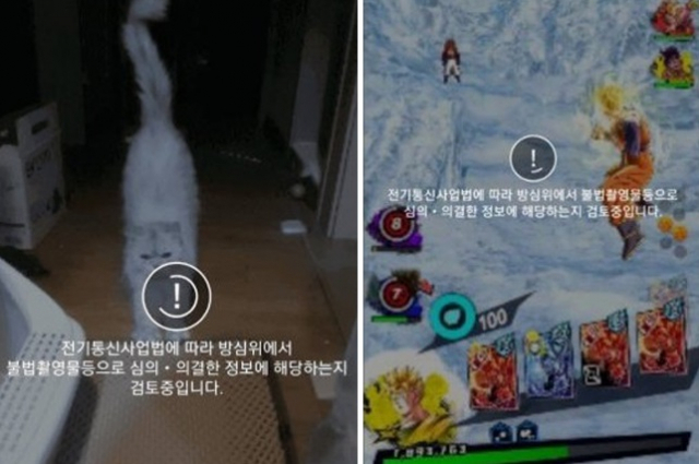 고양이·게임 움짤이 불법 촬영물?…'카톡방 검열 논란'