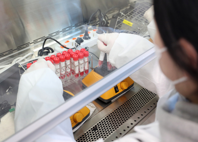 8일 오후 광주시 보건환경연구원에 도착한 진단검사 대상자들의 검체를 연구원들이 코로나19 유전자증폭(PCR) 검사할 준비를 하고 있다./연합뉴스
