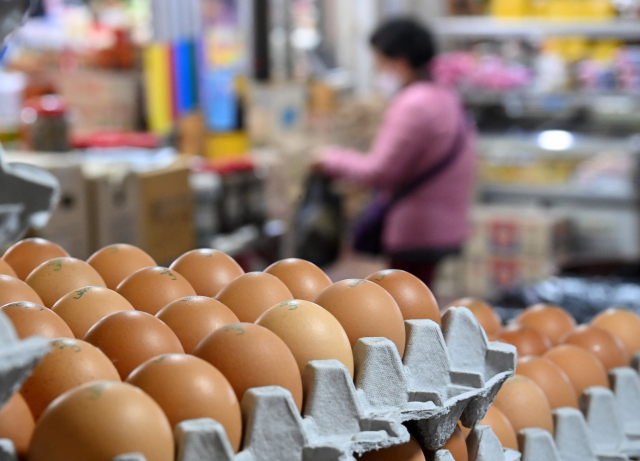달걀 산지가격 떨어지는데…수입란 늘린다는 정부