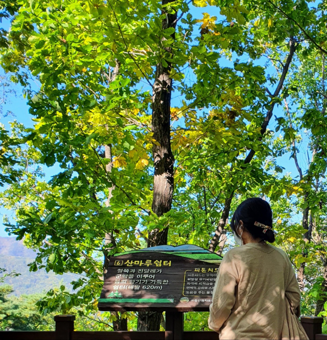 임산부가 숲태교 프로그램을 체험하고 있다. 사진제공=한국산림복지진흥원