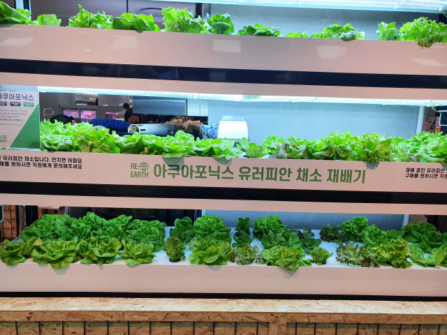 제타플렉스 아쿠아포닉스 유러피안 채소 재배기/박형윤 기자
