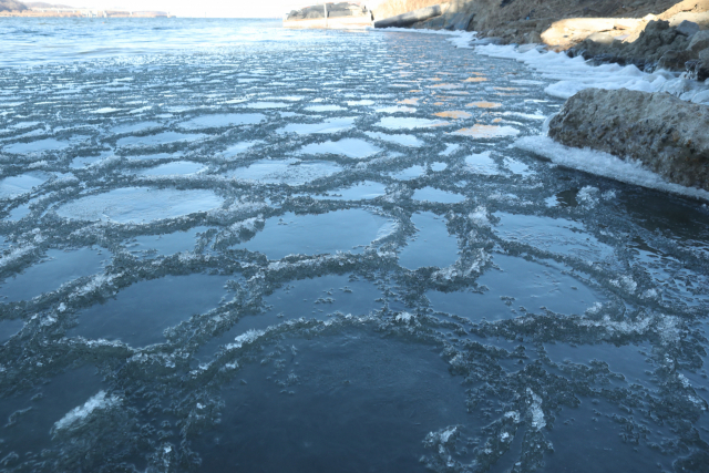 한파가 기승을 부린 지난달 31일 경기도 고양시 한강하구에서 얼음이 물에 떠다니고 있다. /연합뉴스