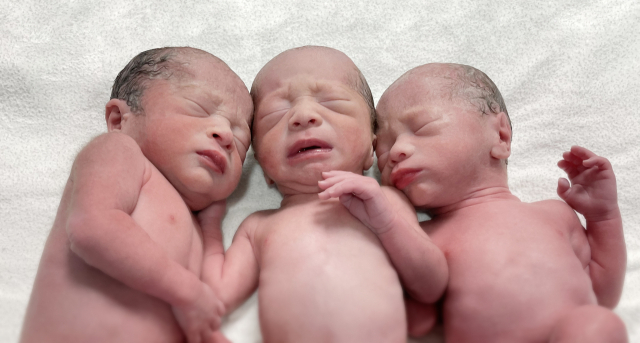 2022년 새해 첫날 고대안암병원에서 태어난 세쌍둥이. 첫째(남, 왼쪽부터)와 둘째(여), 셋째(남) 쌍둥이가 태어난 직후의 모습. /사진 제공=고대안암병원