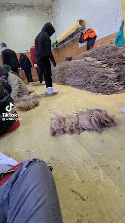 '신발 신은 채 밟아 만든 오징어' 영상에 누리꾼 논란