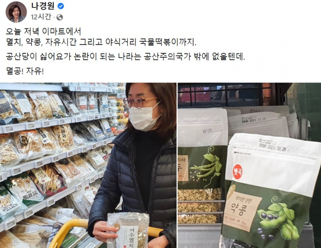 /나경원 전 의원 페이스북 캡처