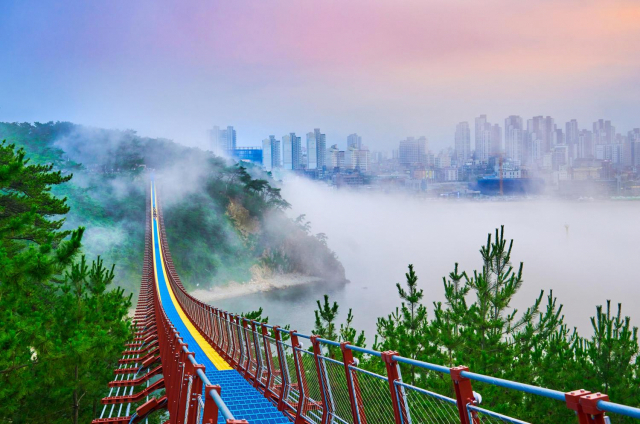 울산 동구 대왕암공원 일대에 설치된 출렁다리. /사진 제공=울산시