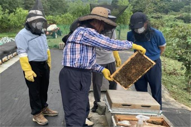 부산시 농업기술센터가 양봉 기초이론과 전문기술을 소개하고 알려주는 농업인 전문교육을 운영한다./사진제공=부산시 농업기술센터