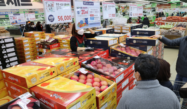 20일 한 대형마트에서 시민들이 설 선물용 사과를 보고 있다. /연합뉴스