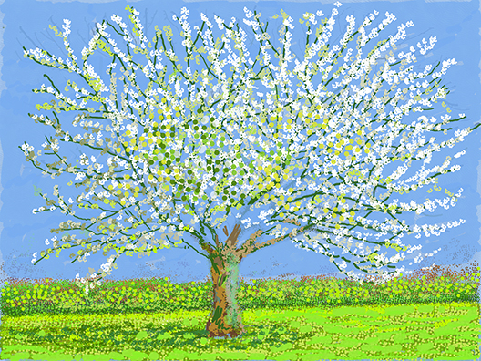 호크니가 노르망디에 머물며 아이패드로 그린 벚꽃나무 그림 ‘No.180’/시공아트