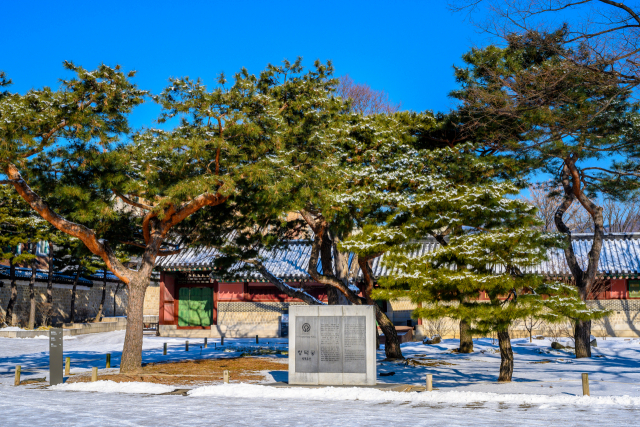 유네스코 세계문화유산으로 지정된 창덕궁/사진=서울관광재단