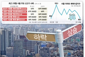 상승·하락지표 혼재에 이상거래 착시효과까지…부동산시장 혼란