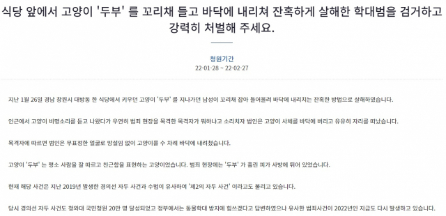 청와대 국민청원에 고양이 살해범을 검거하고 강력히 처벌해달라는 글이 올라왔다. /청와대 국민청원