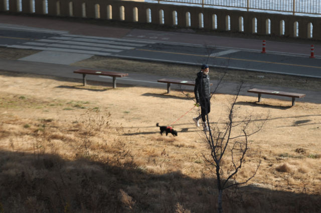 낮기온이 10도 안팎까지 오른 10일 오후 서울시 마포구 한강공원에서 시민들이 산책하고 있다. 연합뉴스