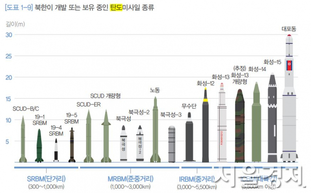 북한 탄도미사일을 사거리별로 분류한 소개도. /자료출처=2020년도 국방백서