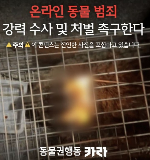 동물권단체 '카라'가 페이스북 페이지에 게시한 고양이 학대 사진./카라 페이스북 캡처