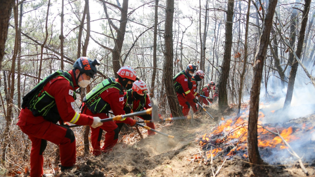 산림청 공중진화대가 경북 영덕군 산불현장에서 산불진화작업을 벌이고 있다. 사진제공=산림청