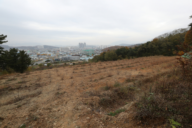 국유재산 점유 불법신고 553건…경기도 31건 가장 많아