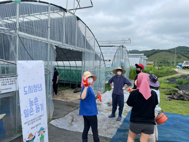 충남 청양군의 ‘충남형 청년 갭이어 프로그램’에 참가한 청년들이 농가 일손을 돕고 있다. 사진 제공=청양군