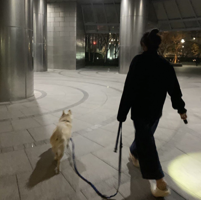 윤석열 국민의힘 대선후보 트위터에 지난 20일 아내 김건희씨의 사진이 올라왔다. /윤석열 트위터