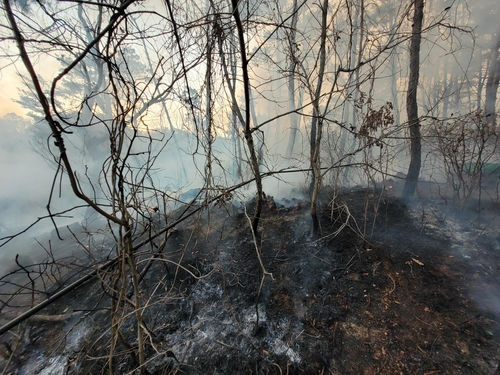 울산시 북구 어물동 야산서 발생한 화재.