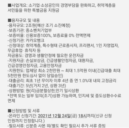 정부 사칭 대출 사기 문자메세지/사진=양치승 인스타그램 갈무리