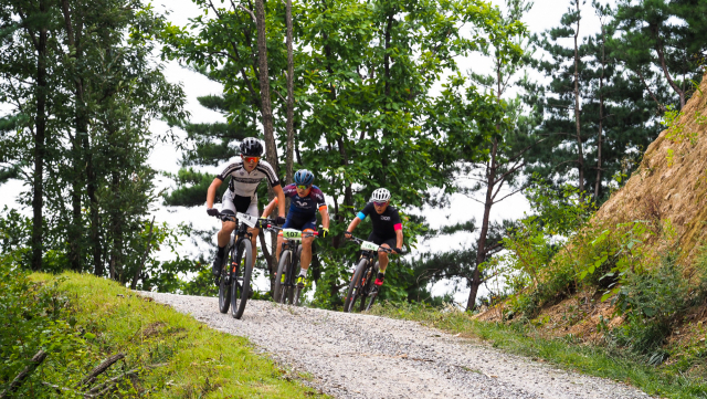 자전거 동호인들이 산악자전거를 즐기고 있다. 사진제공=산림청