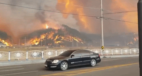 [영상] 울진 산불 확산…불씨 한울원전 주변까지 날아들어